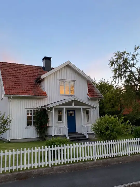 Före: originalselfien som användes i exemplet för Huset i spillror